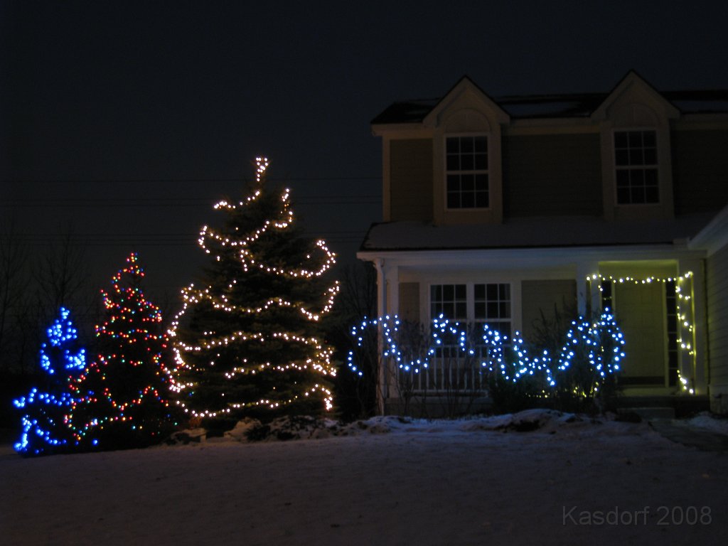 Christmas Lights Hines Drive 2008 260.jpg - The 2008 stringing of the outdoor Christmas lights MUST occur on the worst day between Thanksgiving and Christmas Eve each year. 2008 was no exception!